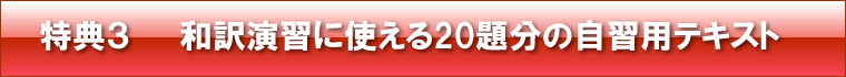 特典3 和訳演習に使える20題分の自習用テキスト