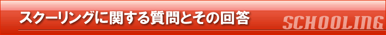 スクーリングに関する質問とその回答